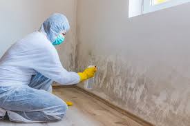 Environmental Consulting for Mold Prevention in Lauderdale Lakes, WI