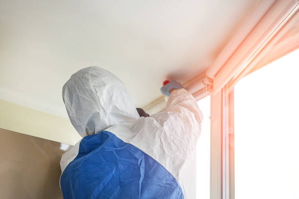 Trusted Lauderdale Lakes, WI Mold Removal & Remediation Experts